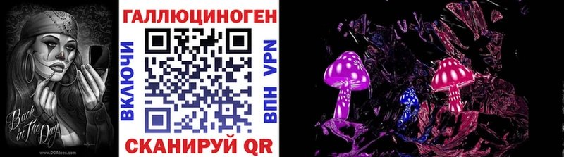 Псилоцибиновые грибы MAGIC MUSHROOMS  нарко площадка какой сайт  Петровск 